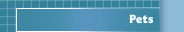 Pets